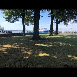 Meet your Posher, Dan